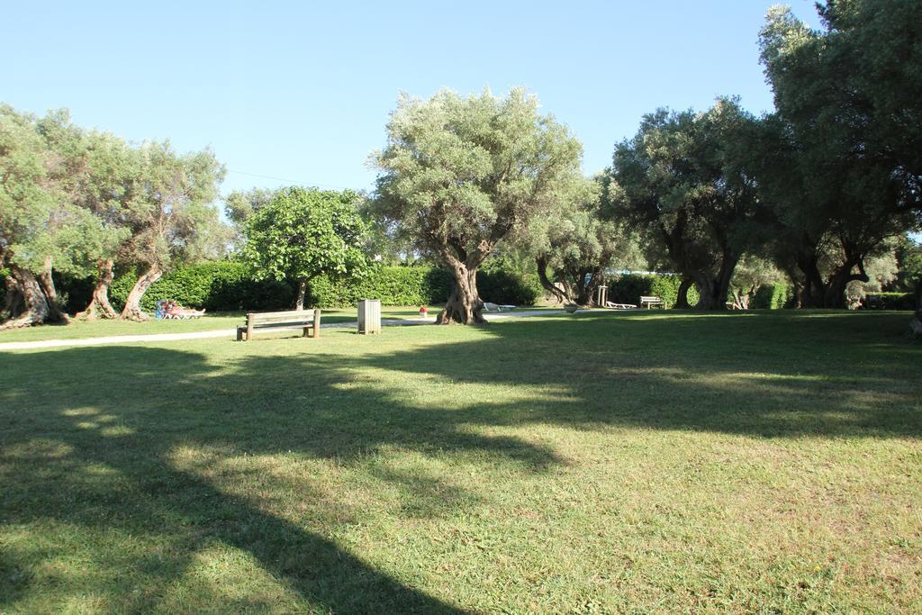 Hotel Club La Font Des Horts Hyères Zewnętrze zdjęcie