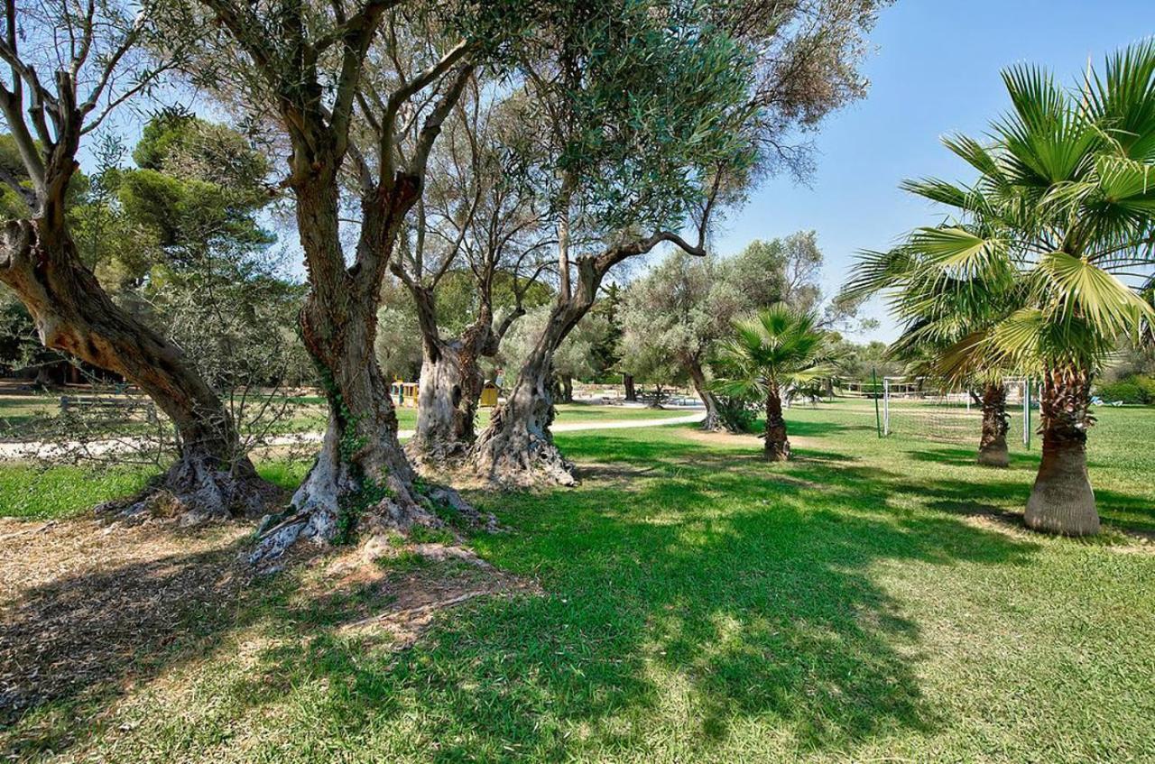 Hotel Club La Font Des Horts Hyères Zewnętrze zdjęcie